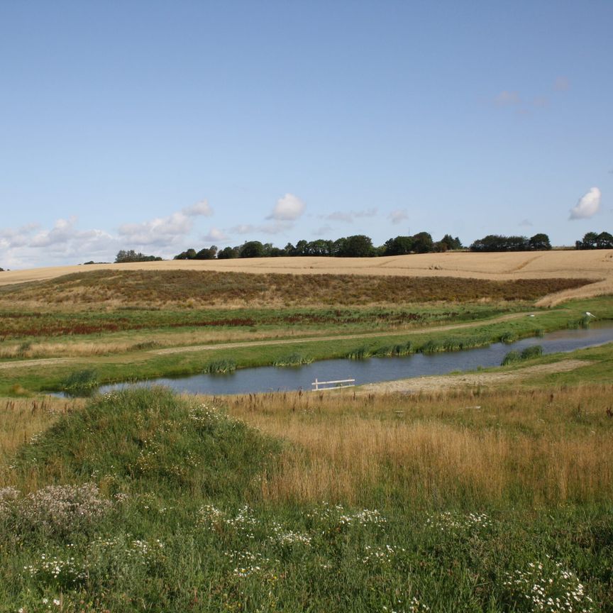 Indflytningsklart rækkehus, med kort afstand til hverdagens fornødenheder og skøn natur - Foto 1