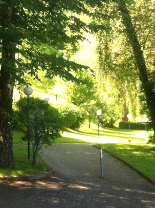 CHARMANTE WOHNUNG FÜR SINGLES AN RUHIGER LAGE MIT GARTENSITZPLATZ! - Foto 1