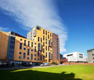 Gold Ensuite - Photo 6