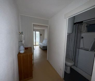 Location Appartement 1 pièce 18m² - Photo 3