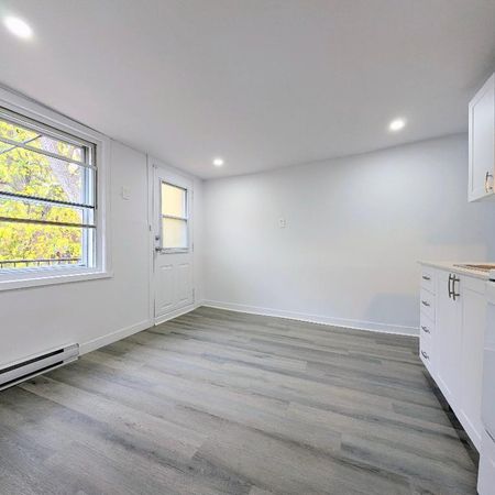 **Renovated 4 1/2, TOP Floor, Large Balcony-The Village/Downtown, Metro Papineau** - Photo 4