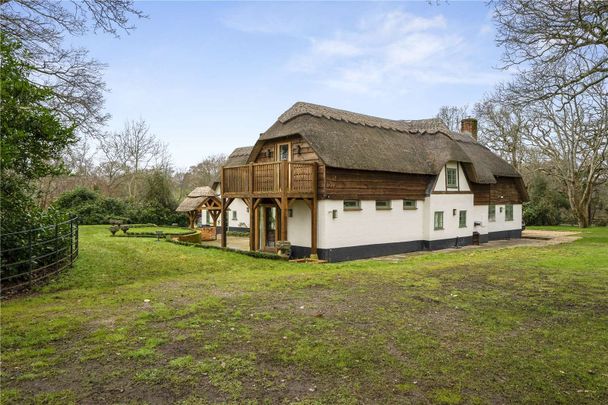 A beautifully presented thatched cottage nestled in the charming landscapes of the New Forest. - Photo 1