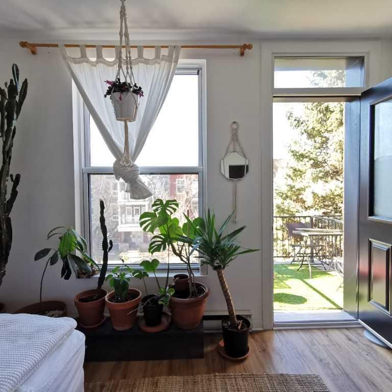 Grand 4 ½ lumineux sur Le Plateau – Disponible juillet – 4671 Avenue Papineau – 1 840$/mois (Entre Mont-Royal et St-Joseph) - Photo 1