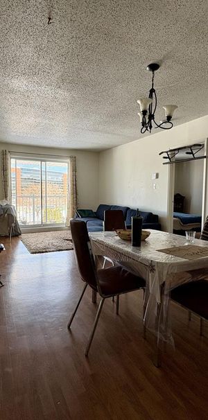 Antoine-du Verdier Appartement 3 ½ à Louer Sainte-Foy / Sillery Juillet 2026 - Photo 1