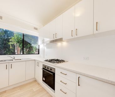 2/20 Cleland Rd, Artarmon NSW 2064 - Townhouse For Rent | Domain - Photo 6