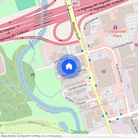 18 Maple Bush Avenue, Toronto