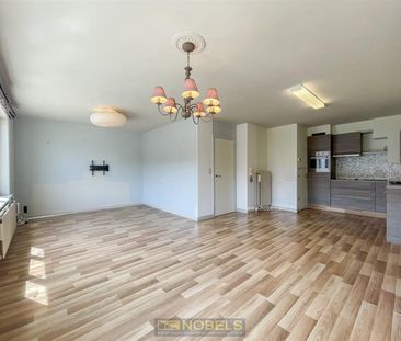 Te huur, 2-slaapkamerappartement met lift nabij centrum Oudenaarde - Foto 3
