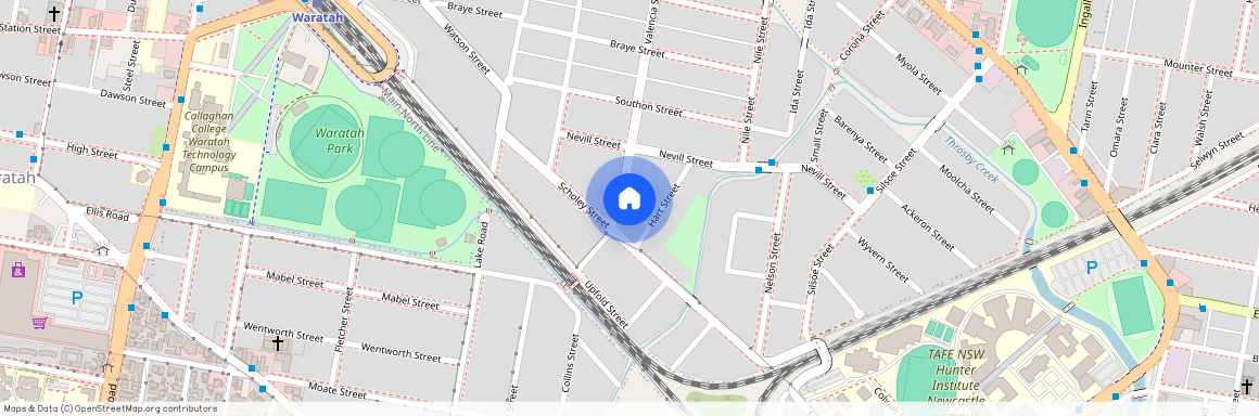 66 Valencia Street, Mayfield NSW 2304