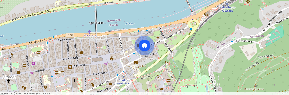 Hauptstraße 220, 69117 Heidelberg