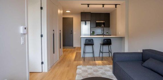 3 1/2 APPARTEMENT MEUBLÉ À LOUER - Photo 2