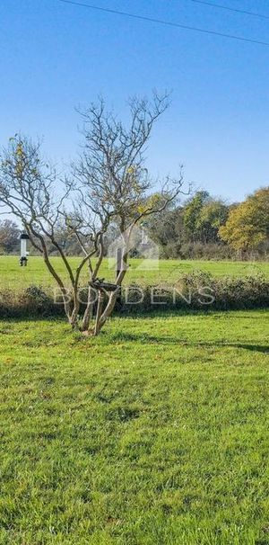 2 bedroom semi-detached house to rent - Photo 1