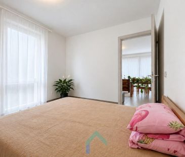 Appartement te huur in Tielt - Foto 3