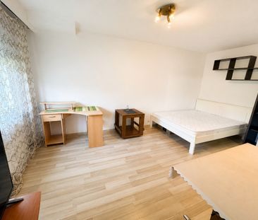 Apartament cu o cameră Bucovina - Photo 1