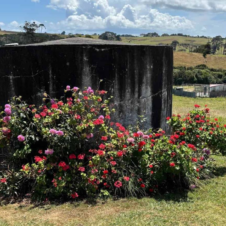 Cute Character Cottage - Photo 1