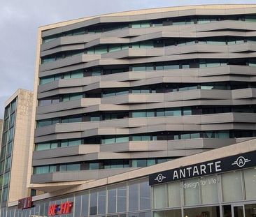 Aveiro, Aveiro - Photo 6