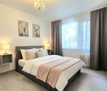 PINK reality - NA PRENÁJOM - 1 izbový byt na Nešporovej ulici v Šali. - Fotografia 3