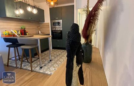 Location Appartement 2 pièces 31m² BLAGNAC 31700 - Photo 4
