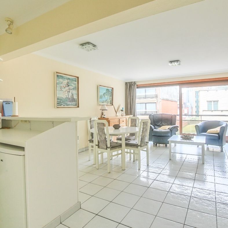 Gemeubeld appartement te huur op jaarbasis met 2 kamers - Photo 1