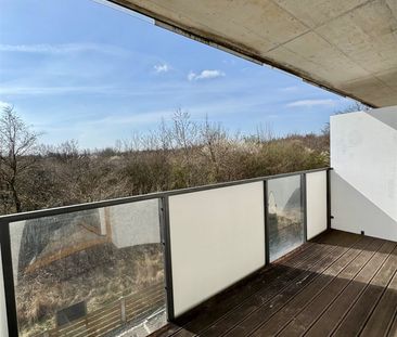 Opole, Półwieś - Photo 6