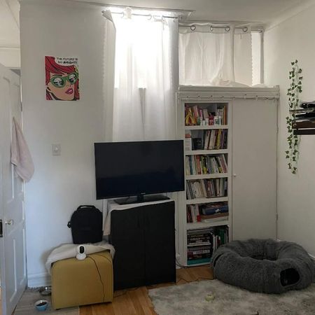 3 1/2 au 3ieme sur Plateau ensoleillée tranquille libre 1 Juillet - Photo 3