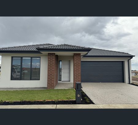 15 Revival Street, Charlemont, Vic 3217 - Photo 5