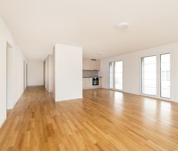 3.5 Zimmerwohnung in Höri - Photo 1