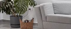 1 room apartment of 103m² in Mascouche - Photo 1