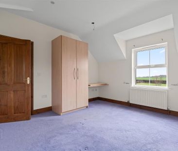 43 Old Ballygowan Road, Comber, BT23 5NP - Photo 4