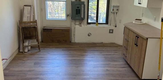 Grand 3 1/2 Plateau Mont-Royal Sous-sol - Photo 2