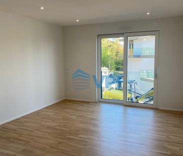 Nice 3 room apartment for rent in Pregny-Chambésy - Foto 1