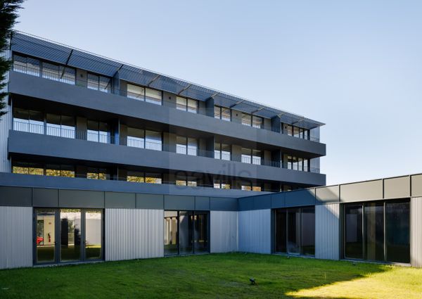 T1 FACTORY - The Garden (Jardins da Efanor)