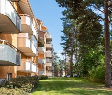 Haga parkgata, Västerås - Photo 4