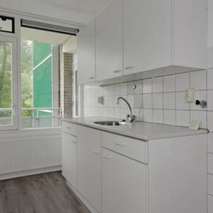 Hooidrift 0ong, 3023 Rotterdam, Nederland - Foto 2