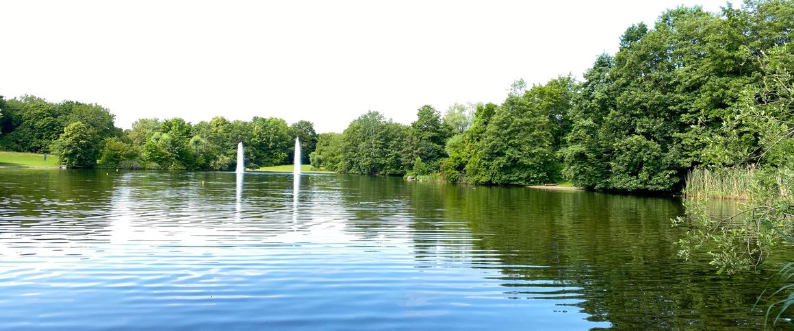 Erstbezug nach Sanierung: Barrierefreie Terrassenwohnung - Photo 1