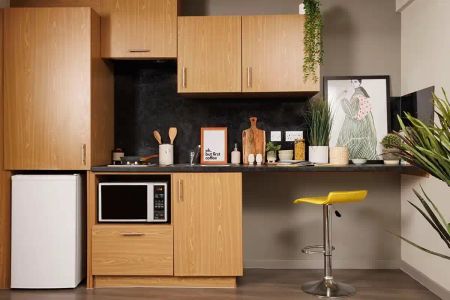 Double Wheelchair Accessible Studio - Photo 5