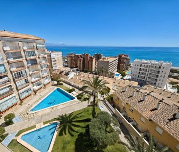 Elche / Elx - Photo 3