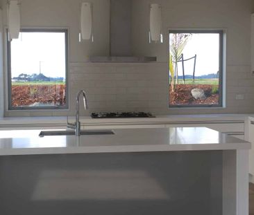 Sunny Single Level Home in Millwater - Photo 3