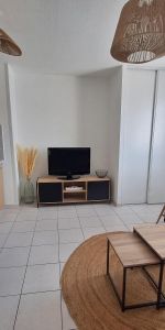 Location Appartement 1 pièce 25m² LIMOGES 87000 - Photo 3
