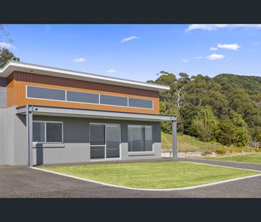 88 Wilsons Road, Jerrara, NSW 2533 - Photo 5