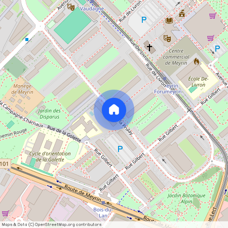 Rue de la Prulay, 1217 Meyrin