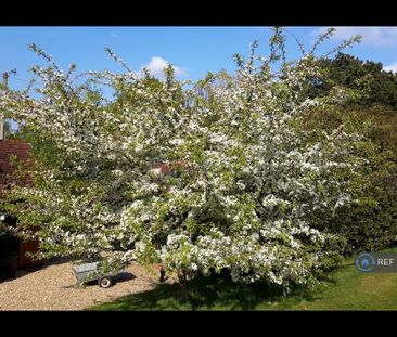 1 bedroom detached house to rent - Photo 6