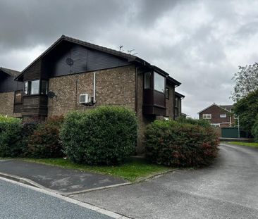 Studio to rent - Photo 6