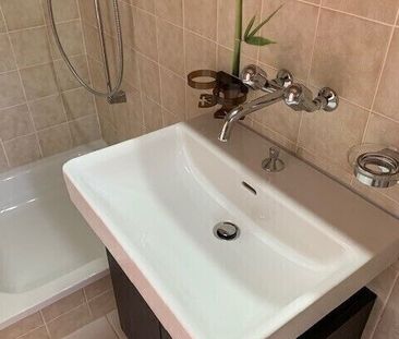 21/2 ROOM APARTMENT IN GWATT (THUN), FURNISHED, TEMPORARY - Photo 1