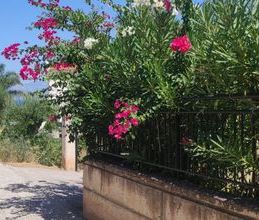 Μονοκατοικία για ενοικίαση - Ανθηδώνος, - Photo 5