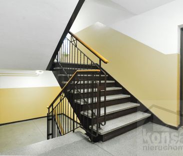 Przestronne 2 pokoje w sercu Szczecina - Photo 2