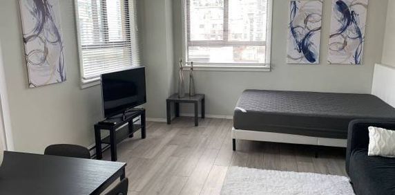 Downtown Vancouver Furnished apartment Available March 1st. - Photo 2