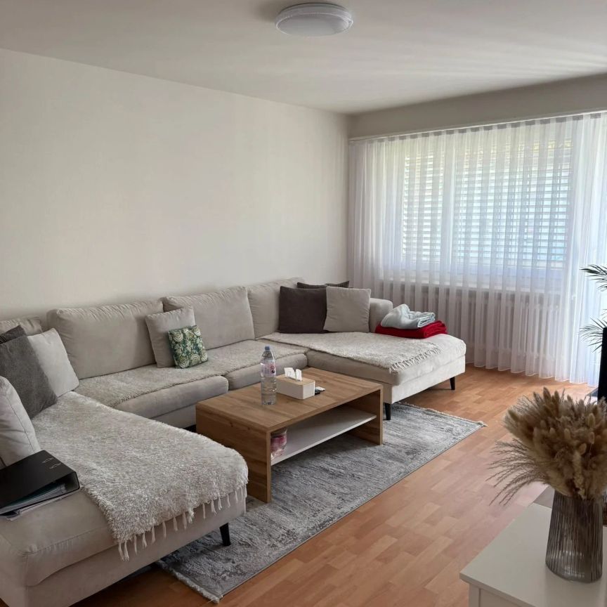 3.5 Zimmer, 80 m², 1. Stock - Photo 1