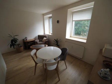 Pronájem bytu 2+kk (46,74 m - Fotografie 3