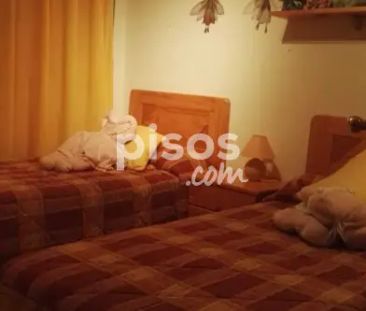 Piso en alquiler en Calle de los Pastores, 26 - Photo 4