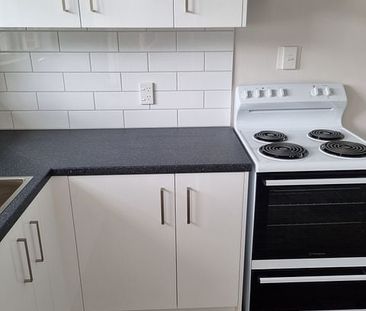 Completely renovated top to toe 2 bedroom unit - Photo 2